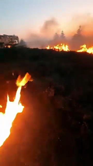 Langdale Moor: Fire intensifies as roads closed -ALL CREDIT: NYMMO - North York Moors Moorland Organisation