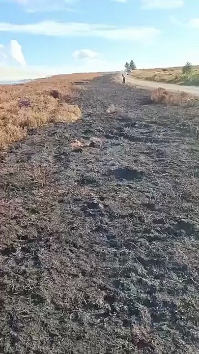 Langdale Moor: Fire update on Tuesday evening - ALL CREDIT: NYMMO - North York Moors Moorland Organisation