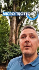 Courage : La clé pour réussir et se sentir bien 💪