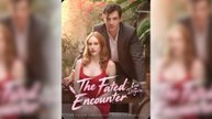 The Fated Encounter Love in Disguise Full Movie