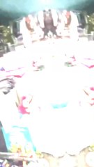 Tu en penses quoi des peluches ? La vidéo complète sur la chaîne😁 #videgrenier #brocante #collection