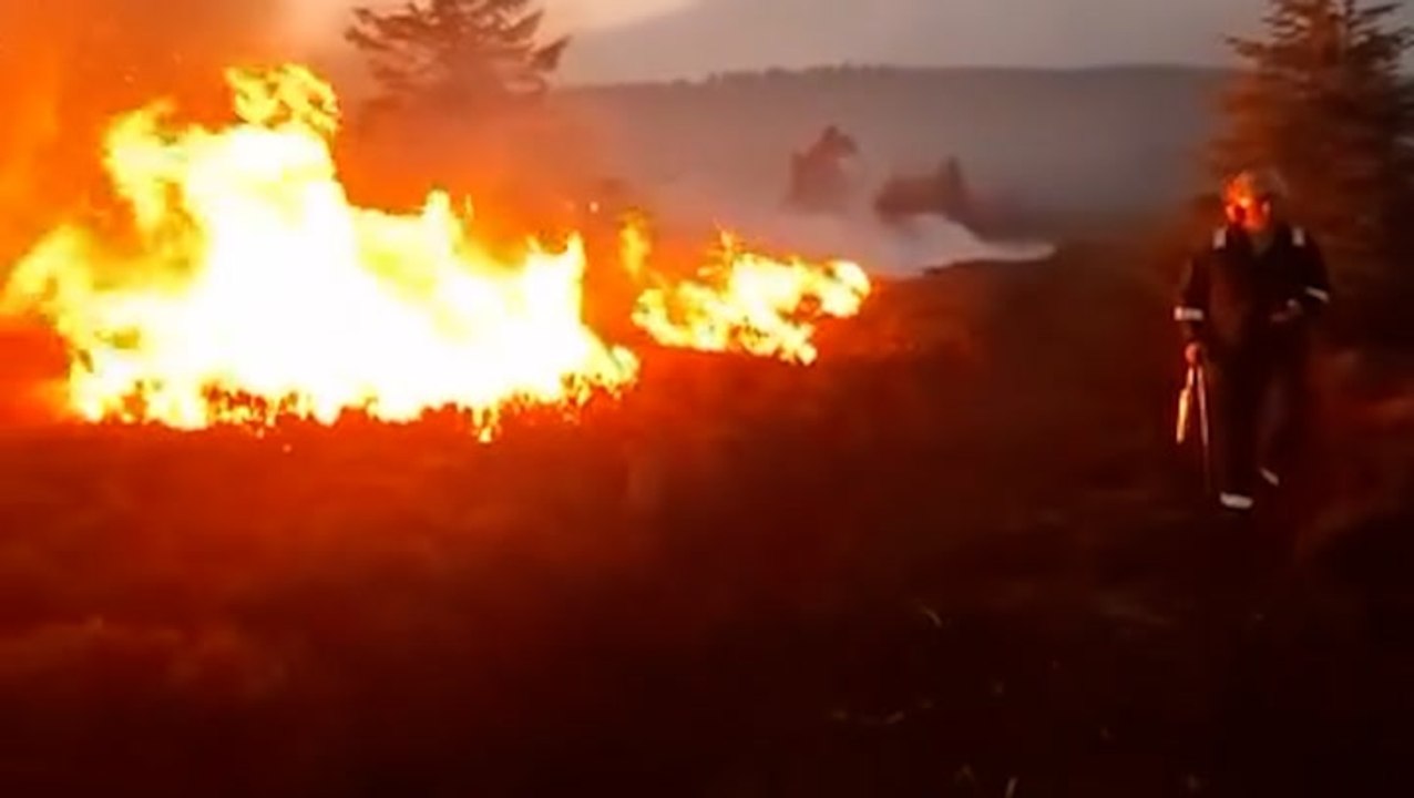 Major wildfire spreads across North Yorkshire Moors as farmers help tackle blaze and animals evacuated