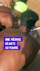 Cette méduse a été repérée le 6 août au Maroc.
