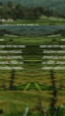 Versículo do dia 27/08/25 #versículo #versículododia #palavradedeus #versículobíblico