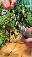 Farmers _This is a real trick With a spoon and zip
