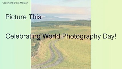 Picture This: Celebrating World Photography Day!