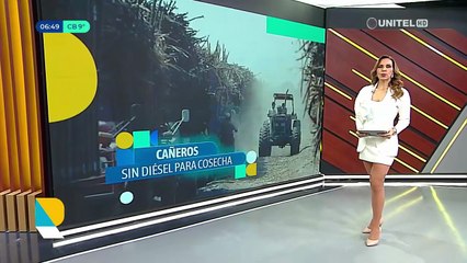 “Lidiamos con las filas y en los últimos días se incrementaron”: Cañeros lamentan que la zafra es lenta por falta de diésel