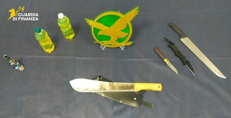 In auto con armi da taglio e bottiglie di benzina: controllati 4 nordafricani, scatta denuncia (27.08.25)