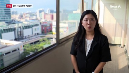 [단독]15층서 유리창 통째로 추락해 70대 중상