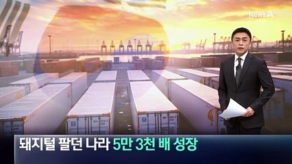 돼지털 팔던 나라…국내총생산 ‘5만 3천 배’ 성장