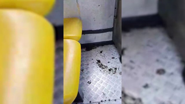 Passageiro não segura a dor de barriga e causa constrangimento em ônibus coletivo de Cascavel