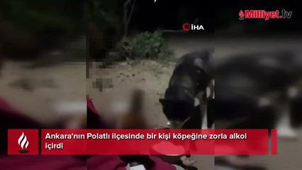 Ankara'da skandal görüntü: Köpeğe alkol içirdi