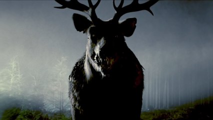 Bambi: La venganza Tráiler