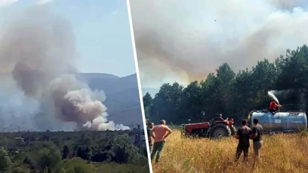 Sakarya’nın Akyazı ilçesinde ormanlık alanda yangın