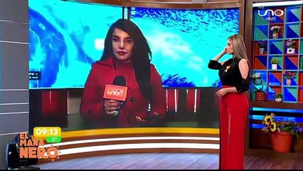 POSIBLES NEVADAS PARA EL FIN DE SEMANA