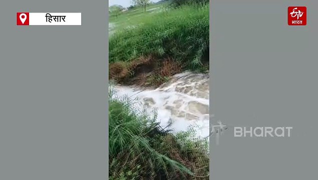 हिसार जिले में भारी बारिश, हांसी के कई इलाकों में बाढ़ जैसे हालात