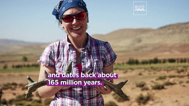 165-million-year-old spiked dinosaur with ‘weaponised tail’ discovered in Morocco