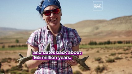 165-million-year-old spiked dinosaur with ‘weaponised tail’ discovered in Morocco