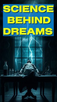 Science of Dreams How Subconscious Shapes Creativity