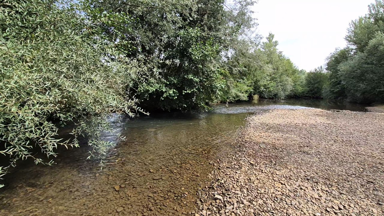 Río Cea. León.
