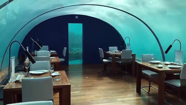 Unique Dining Experience Beneath the Sea