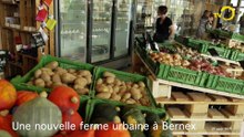 Sujet: La ferme urbaine de Bernex