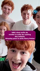 HARRY POTTER QUI SONT LES NOUVEAUX WEASLEY ?