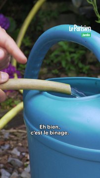 Binage : comment économiser l'eau d'arrosage ?
