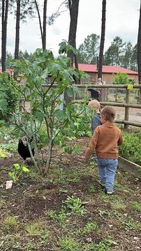 Parents et Center Parcs vidéo reportage ( enfants entre 18 et 36 mois)