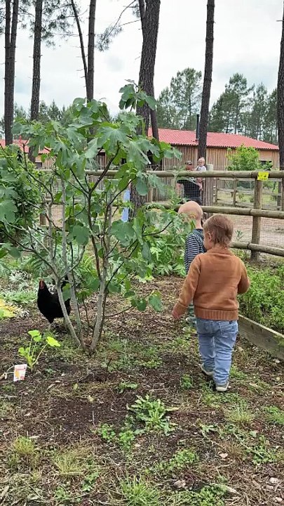 Parents et Center Parcs vidéo reportage ( enfants entre 18 et 36 mois)