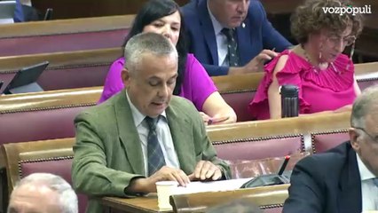 Intervención completa de Gordillo (Vox) en la Comisión a Aagesen