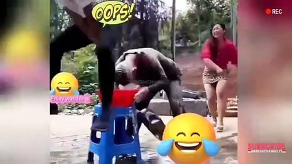 Video Lucu Pasti bikin ngakak ,,,wkwkwkwwk