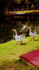 🌟 Disfruta el proceso: lo que hoy sueñas, mañana lo conquistas 🌟