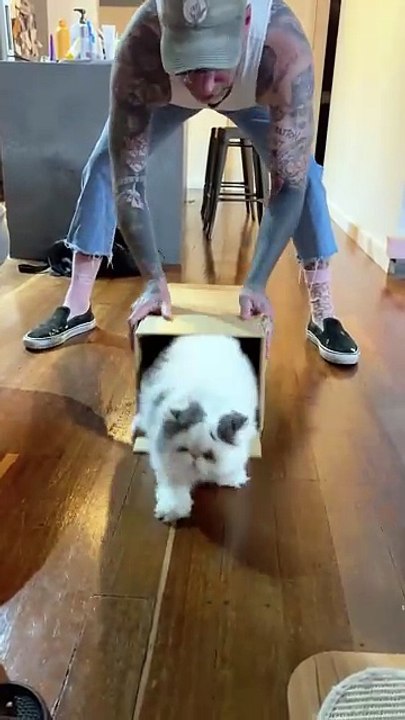 Trust takes time... even for cats 🐾❤️