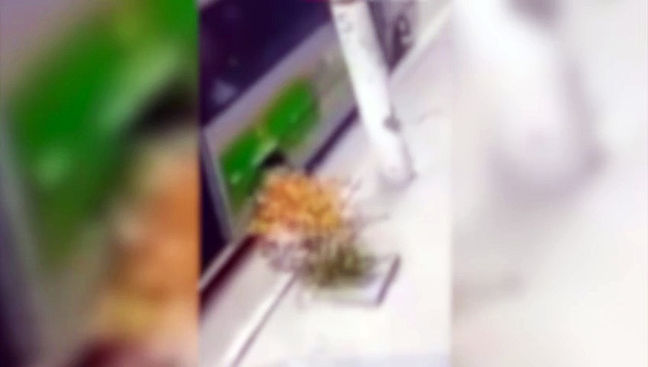 Mulher é socorrida pelo Samu após ser atropelada por ônibus, mas não resiste aos ferimentos