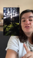 T’as deviné quel Pokémon sera mis en avant pendant les terres sauvages sur Pokémon go ?