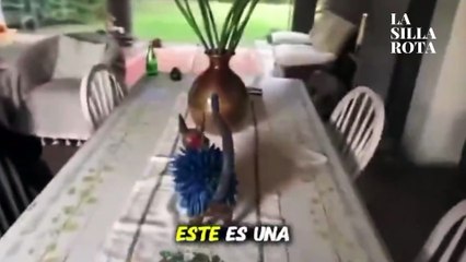 Noroña explota contra periodistas por polémica de su casa en Tepoztlán