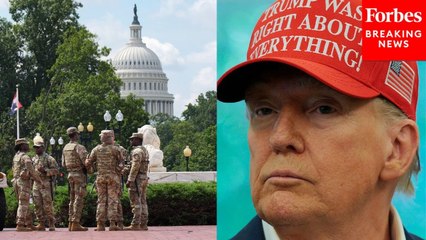 Trump Calls D.C. Criminals 'Animals' After Reporter Shares Story Of Her Mugging