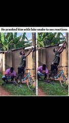 He pranked him with a fake snake