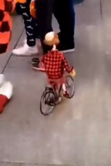 Circus Pinezka in Lodz (Poland)