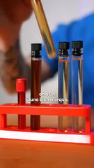 Comment analyser l'urine de votre animal pour sa santé 🐾 - thumbnail