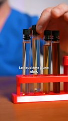 Comment analyser l'urine de votre cheval pour sa santé 🐴