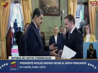 Jefe de Estado recibió cartas credenciales del nuevo embajador de Hungría, Daniel Szécsi