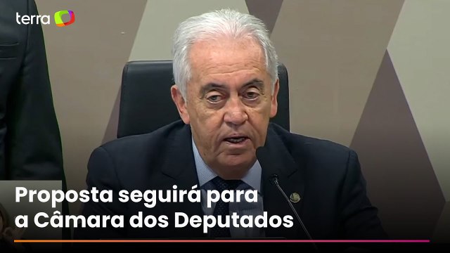 CCJ do Senado aprova projeto de lei para acabar com fiança em crimes relacionados à pedofilia