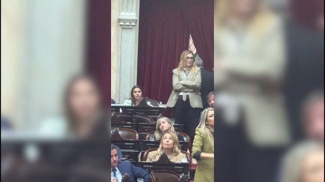 Lilia Lemoine y Marcela Pagano protagonizaron un nuevo bochorno en a Cámara de Diputados