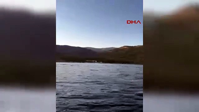 Yunuslar balıkçı teknesine böyle eşlik etti