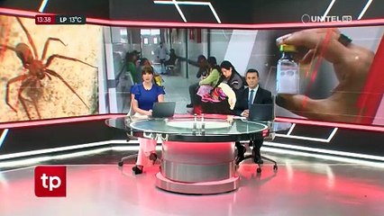 Niña picada por una araña de rincón tiene fallas renales y anemia, su estado de salud aún es reservado