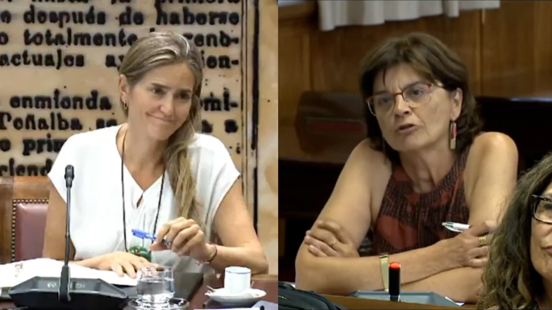 La vicepresidenta tercera y ministra para la Transici�n Ecol�gica y Reto Demogr�fico, Sara Aagesen, ha comparecido este mi�rcoles en la Comisi�n de Transici�n Ecol�gica del Senado para informar sobre las medidas adoptadas por su departamento ante la grave situaci�n de incendios forestales que afectan a distintos territorios con un fuerte impacto en el medioambiente, la biodiversidad y los ecosistemas.

Durante su intervenci�n, la ministra utiliz� de manera reiterada el t�rmino "Orense" para referirse a la provincia gallega de Ourense, lo que provoc� la protesta de la senadora del BNG, Mar�a Carmen Da Silva.