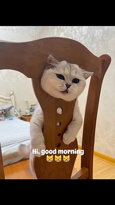 Buenos días ☀️