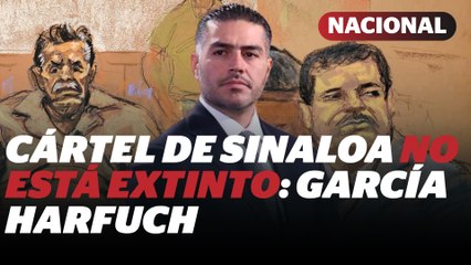 Harfuch afirma que Cártel de Sinaloa está mermado, pero no extinto | Reporte Indigo